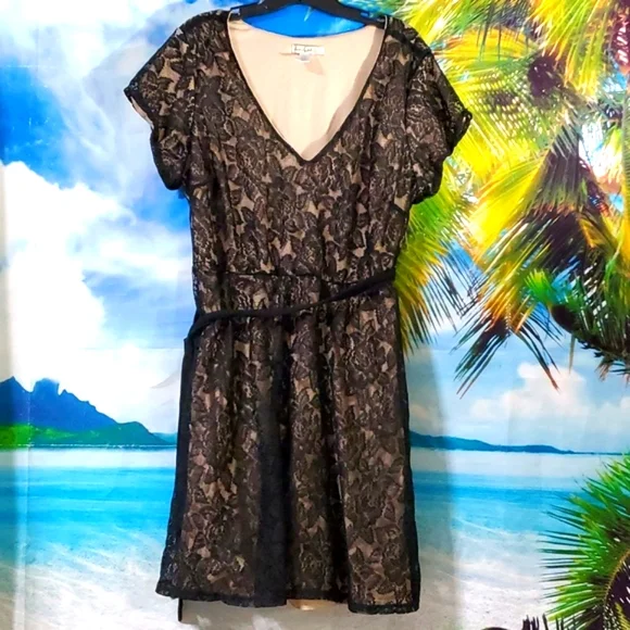 Love squared V neck Short sleeves stretch Lace Belted dress size 2X - Picture 1 of 4